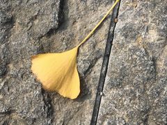 -帐篷客·溪龙茶谷度假酒店