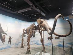 -辽宁古生物博物馆