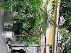 -火车头法国西餐厅