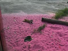 -苏州太湖西山岛开心农场
