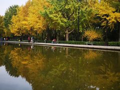 -玲珑塔公园