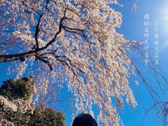 -京都御所