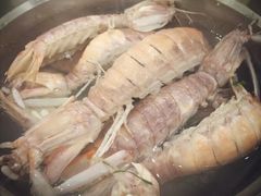 -蚝专家(北滘店)