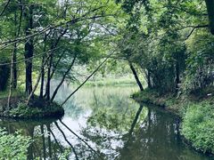 -西溪国家湿地公园