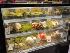 -滇野云南野生菌餐厅(陕西南路店)