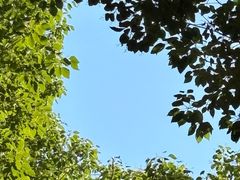 -重庆鸡公煲·嘟享吃(林科大店)