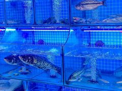 -有藕有鱼·湖北菜(唐家墩店)