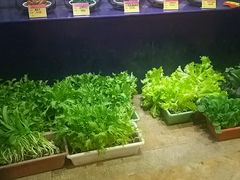 -俏东方·海味水饺·青岛菜(崂山店)