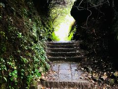 -苍山感通索道