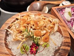 -季季山·云南野生菌火锅(上海首店)