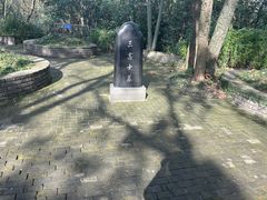 -上海佘山国家森林公园天马山园