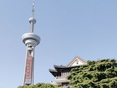 -南京古林公园