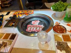 -杨记齐齐哈尔烤肉(总店)