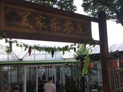 -美家乐农庄·露营·团建(大治路店)
