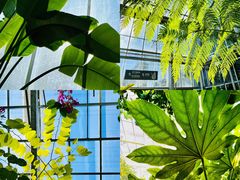 -国家植物园南园