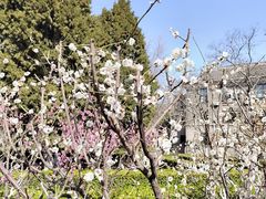 -山东师范大学(千佛山校区)