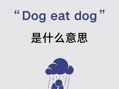 -英孚教育青少儿(徐汇徐家汇中心)