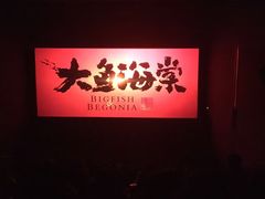 -SFC上影影城(港汇永华IMAX激光店)