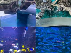 -正佳极地海洋世界
