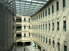 -首都医科大学附属北京天坛医院