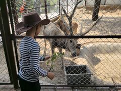 -青藏高原野生动物园