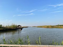 -宁波杭州湾国家湿地公园