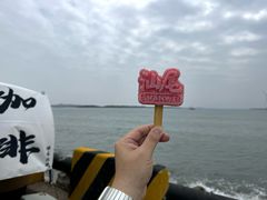 -汕尾风车岛