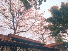 -喜洲吧·江畔老船厂·庭院餐厅(喜临院店)