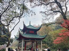 -岳麓山风景名胜区