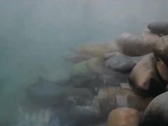 -青城道汤池