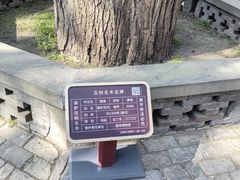 -晋祠博物馆