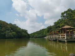 -李小龙乐园(顺德均安店)