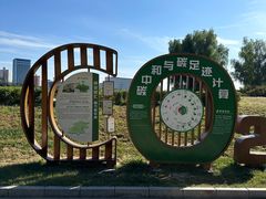-莲花池公园