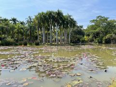-中国科学院西双版纳热带植物园