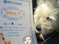 -美联众合动物医院·24h京西诊疗中心