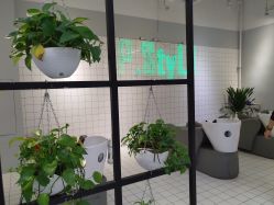 -P.STYLE派斯造型