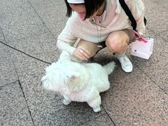 -观音桥步行街