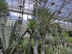 -国家植物园南园