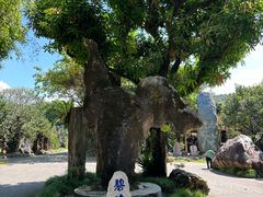 -云南勐巴娜西珍奇园