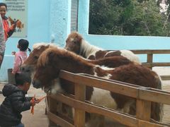 -昆明动物园