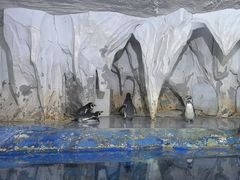 -太平洋海底世界