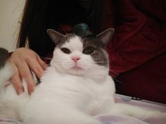 -麦当劳(南京水西门大街店)