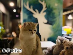 大堂-咖法森林·咖啡  酒吧(天河店)