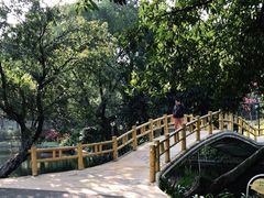 -晓港公园
