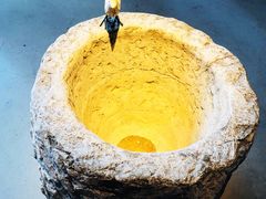 -白木炭·海鲜烧烤(东晓南店)