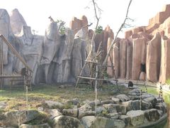 -芽庄珍珠岛游乐园