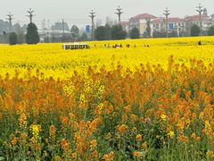 -中国天府农业博览园