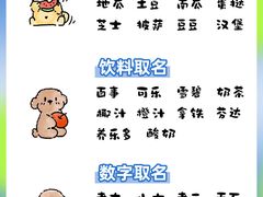 -芭比堂动物医院·心脏科·老年急重症·夜诊·吉雅分院