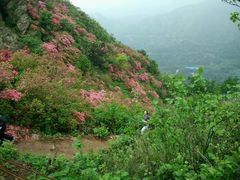 android_upload_pic-木兰云雾山