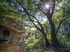 -南京市无想山景区
